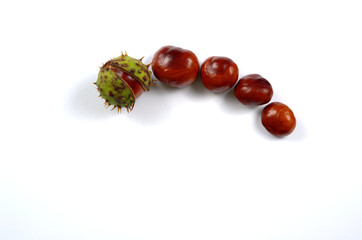 Chestnuts as the symbol of the end of summer and back to school. New life in the family.