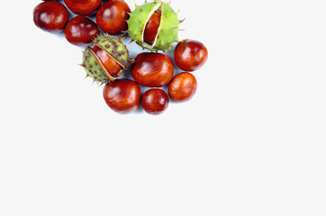 Chestnuts as the symbol of the end of summer and back to school. New life in the family.