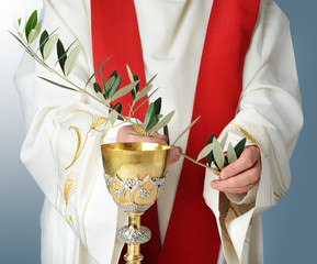 mani di sacerdote con ramo di ulivo