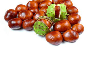Chestnuts as the symbol of the end of summer and back to school. New life in the family.