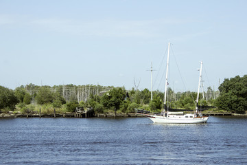 White Sail Boat - White Sail Boat On Blue Water In Front of Green Trees