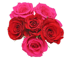 薔薇
