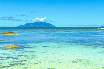 Island in Indian Ocean