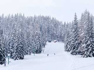 Ski center of Vogel