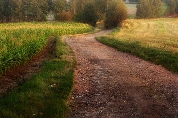 Droga między polami z piękną pogodą o świcie..The road between fields with beautiful weather at dawn.