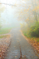 Pathway through the misty autumn park