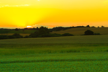 Naklejka premium Beautiful sunset on a spring field