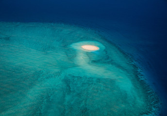 Récif corallien du sud de Mayotte