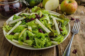 Waldort salad