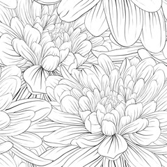 Beautiful monochrome, black and white seamless background with flowers dahlia.