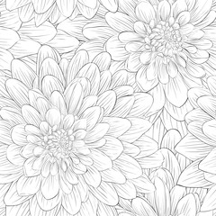 Beautiful monochrome, black and white seamless background with flowers dahlia.