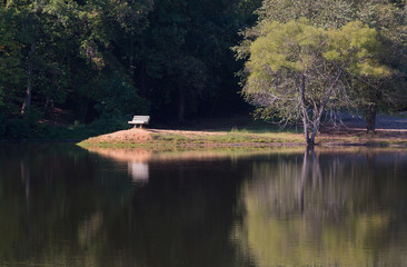 Obraz premium Park ławka odbicie w jeziorze
