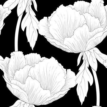 Beautiful monochrome, black and white seamless background with flowers Plant Paeonia arborea (Tree peony) with stem and leaves.