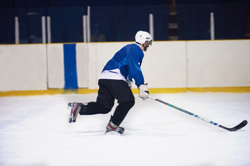 ice hockey player in action