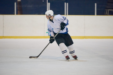 ice hockey player in action