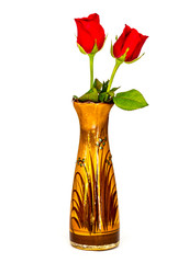 Rose flower on the vase isolated on white back ground