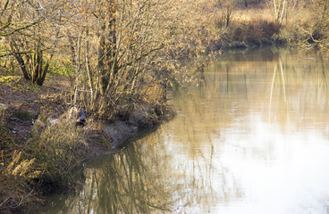 Река протекает в осеннем лесу. 