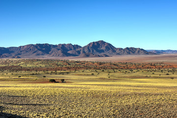 Fototapeta na wymiar Desert Landscape - NamibRand, Namibia