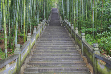 Fototapeta premium Scenic mountaineer step stairs next to the bamboo forest