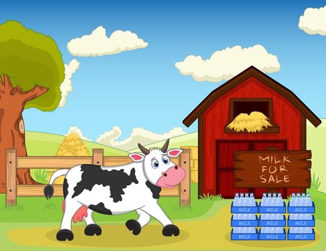 Milk for sale and cow at the farm