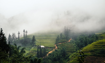 Rice fields on terraced of Mu Cang Chai, YenBai, Vietnam. Rice fields prepare the harvest at Northwest Vietnam.