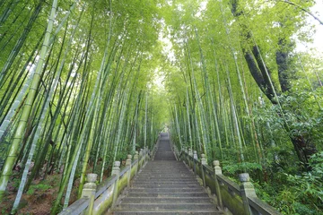 Printed roller blinds Bamboo Scenic mountaineer step stairs next to the bamboo forest