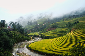 Rice fields on terraced of Mu Cang Chai, YenBai, Vietnam. Rice fields prepare the harvest at...