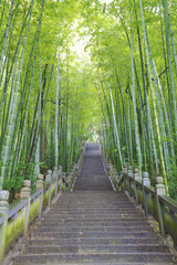 Scenic mountaineer step stairs next to the bamboo forest