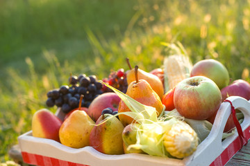fresh organic fruit and vegetable