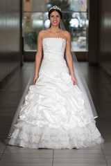 Fototapeta na wymiar Elegant Wedding Dress
