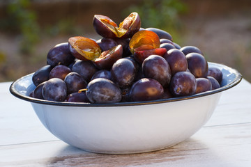 Fototapeta premium Heap of plums in metal bowl on wooden table in garden on sunny day