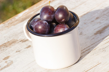 Heap of plums in metallic mug on wooden table in garden on sunny day