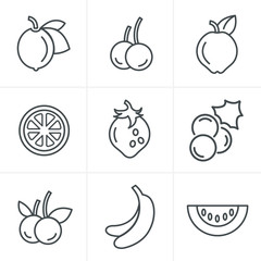 Line Icons Style  Fruit Icons Set, Vector Design