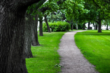promising avenue, the track of the columns and trees