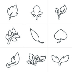 Line Icons Style  leaf icon