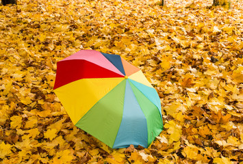 umbrella