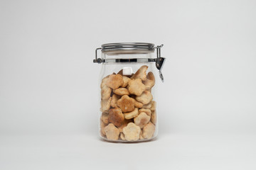 Homemade, healthy pumpkin dog biscuits in glass canister on a wh