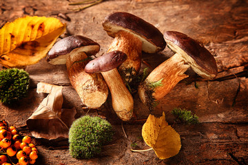 Healthy autumn harvest of fungi and rose hips