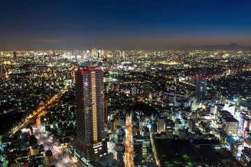 Fototapeta na wymiar 東京・池袋方面から望む大都会の夜景