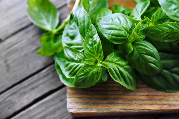 Green fresh basil on wooden background