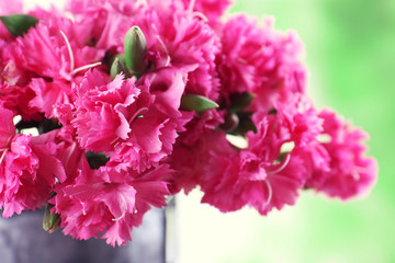 Fototapeta premium Beautiful bouquet of pink carnation in watering can on bright background