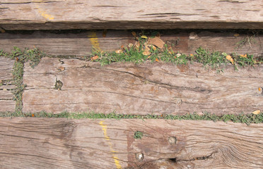 Old wood background with grass