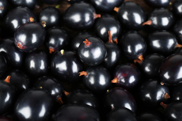 Heap of wild black currant close up