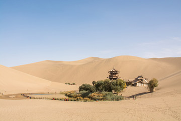 Oasis in desert at Mingsha Shan, Dunhuang, Gansu Province, China