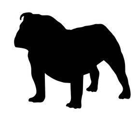 Black Silhouette Bulldog