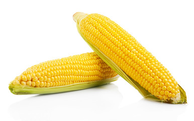 Fresh corn isolated on white