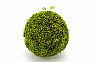 A moss ball as a concept of green earth.