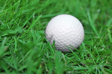 White golf ball on green grass background