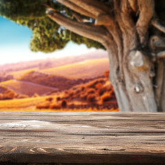 Fototapeta premium desk 