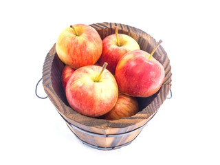 Red apples in wooden bucket